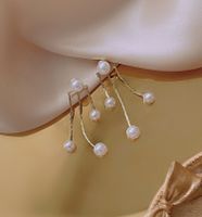Korean Pearl Long Tassel 2021 New Trendy Simple Autumn And Winter Earrings main image 2