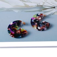 New Acrylic Plate Earrings Tassel Earrings Personality European And American Jewelry main image 5