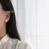 Korean Daisy Flower Small Flower Matte Ring Earrings Titanium Steel 18k Gold main image 5