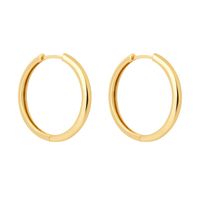 Pendientes De Acero De Titanio De Aro Liso De Oro Y Plata Simples De Moda sku image 11