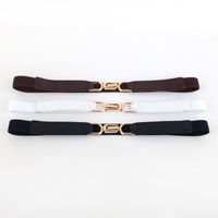Simple Elastic Thin Belt Decorative Belt Fashion Elastic Belt Wholesale main image 3