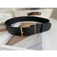 Cinturón Ancho Con Hebilla Cuadrada Decorada En La Cintura Para Mujer sku image 1