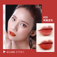 Fashion Matte Velvet Matte Lip Mud Lip And Cheek Lipstick sku image 10