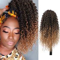 European And American Ladies Wigs Drawstring Chemical Fiber African Small Curly Wigs main image 1