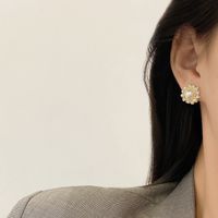 Fashion Geometric Pearl Earrings Geometric Pearl Rhinestone Alloy Earrings Wholesale main image 4
