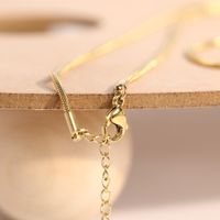 Simple Style Snake Chain Stainless Steel 18k Gold Plated Plain Chain Necklace main image 4