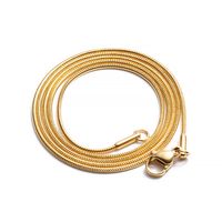 Simple Style Snake Chain Stainless Steel 18k Gold Plated Plain Chain Necklace main image 2