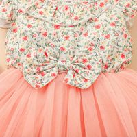 Ropa De Verano Para Niños, Falda Floral Con Costura Para Bebés, Vestido Para Niñas main image 4