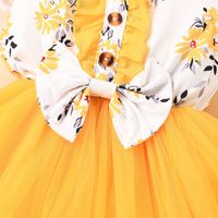 Baby Girl Printed Mesh Skirt Sweet And Cute Flying Sleeve Dress main image 5
