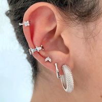 European And American S925 Silver Needle Mesh C-shaped Earrings Female Wholesale main image 3