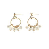 Korean Circle Pearl Pendant Earrings Wholesale main image 6