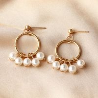 Korean Circle Pearl Pendant Earrings Wholesale sku image 1