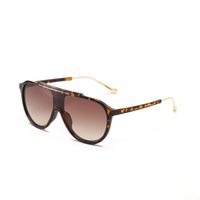 Toad Style Retro Japanese And Korean Popular Locomotive Color Sunglasses Male sku image 3