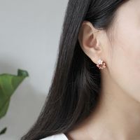 Korean Sterling Silver Zircon Crystal Shell Flower Earrings main image 4