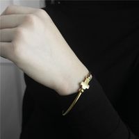 Bracelets Réglables En Gros À Ouverture Simple En Acier Au Titane main image 3
