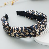 Fashion Sexy Leopard Print Fabric Headband Personality Simple Wide-brim Hair Accessories sku image 2