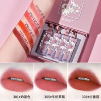 Fashion Lipstick Set Matte Soft Mist Lipstick Set Box main image 6