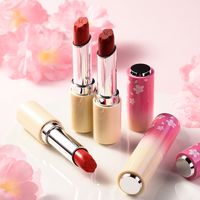 Fashion Peach Color Lipstick Set Long-lasting Non-discoloring Lipstick main image 5