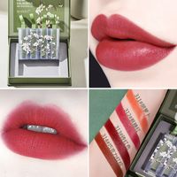 Fashion Lipstick Set Matte Soft Mist Lipstick Set Box sku image 2