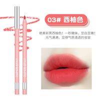 Fashion Matte Makeup Lip Liner Long-lasting Waterproof Sweat-proof Lip Liner sku image 3