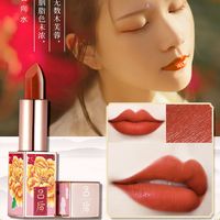 Rouge À Lèvres De Style Chinois De Mode Hydratant Rouge À Lèvres Mat Imperméable Non Marquant sku image 3