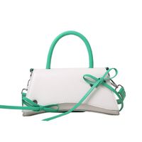 Niche Design Small Bag Female 2021 Autumn And Winter New Trendy Handbag sku image 1