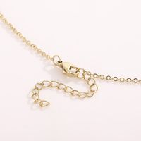 Stainless Steel Titanium Steel 18K Gold Plated Fashion Plating Heart Necklace main image 4