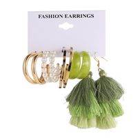 New Creative Simple Fashion Leopard Print Tassel Resin Pearl Earrings 5-piece Set main image 2