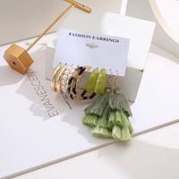 New Creative Simple Fashion Leopard Print Tassel Resin Pearl Earrings 5-piece Set main image 3