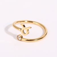 Classic 12 Constellation Twelve Constellation Ring Zircon Open Ring Stainless Steel Ring sku image 10