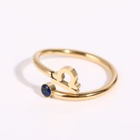 Classic 12 Constellation Twelve Constellation Ring Zircon Open Ring Stainless Steel Ring sku image 11