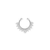 Openings Without Perforation U-shaped Clip Butterfly Nose Nail Nose Chain 10-piece Nose Ring Jewelry main image 4