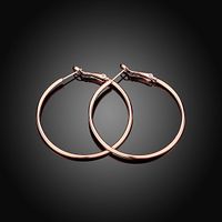 Fashion Fashion Geometric Hoop Earrings main image 4