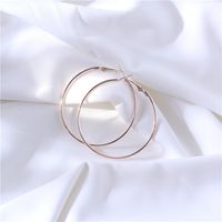 Fashion Fashion Geometric Hoop Earrings sku image 8