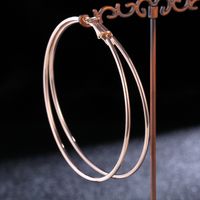 Fashion Fashion Geometric Hoop Earrings sku image 11
