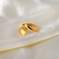 European And American 18k Gold-plated Stainless Steel Special-shaped Open Ring Geometric Ring main image 1