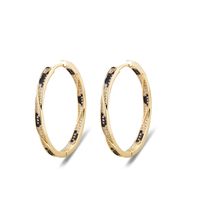 Simple Oval Two-row Zircon Leopard Print Earrings main image 1