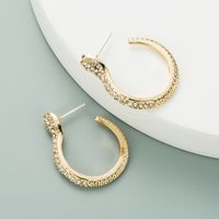 Simple Exaggerated Snake-shaped Earrings main image 2