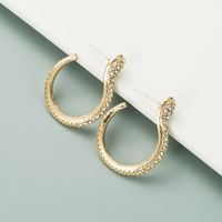 Simple Exaggerated Snake-shaped Earrings main image 3