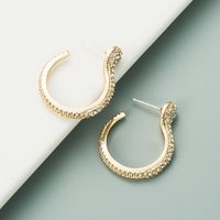 Simple Exaggerated Snake-shaped Earrings main image 4
