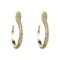 Simple Exaggerated Snake-shaped Earrings main image 6