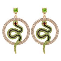 Fashion Round Snake-shaped Diamond Earrings main image 1