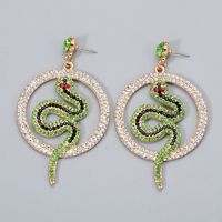 Fashion Round Snake-shaped Diamond Earrings main image 4