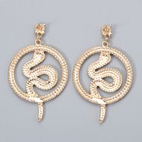 Fashion Round Snake-shaped Diamond Earrings main image 3
