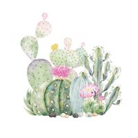 New Simple Green Cactus Succulent Wall Stickers sku image 1