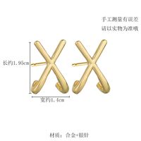 X-shaped Simple Matte Earrings main image 5