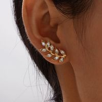 New Full Diamond Leaf Earrings main image 1