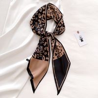 Spring And Autumn Korean Style Versatile Double-sided Thin Narrow Long Scarf Women's Leopard Print Scarf Ribbon Summer Decorative Scarf Dual-use Thin main image 6