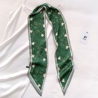 Spring And Autumn Korean Style Versatile Double-sided Thin Narrow Long Scarf Women's Leopard Print Scarf Ribbon Summer Decorative Scarf Dual-use Thin sku image 5