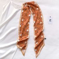 Spring And Autumn Korean Style Versatile Double-sided Thin Narrow Long Scarf Women's Leopard Print Scarf Ribbon Summer Decorative Scarf Dual-use Thin sku image 6
